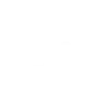 website_development_alphagnito_technologies