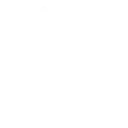 it_consulting_alphagnito_technologies