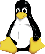 Stack Image 11